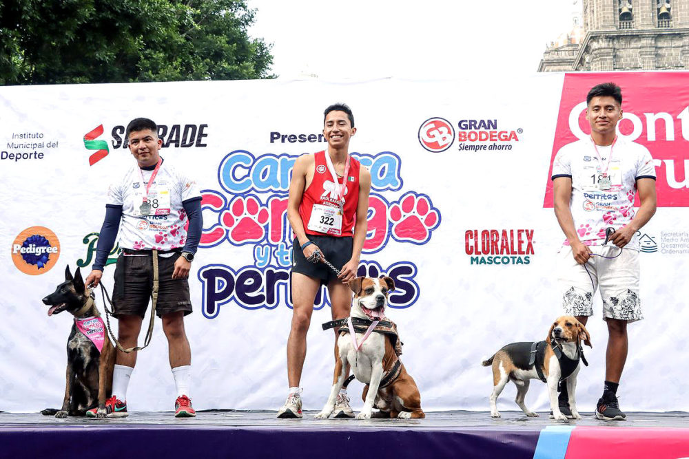 carrera-contigo-y-tus-perritos