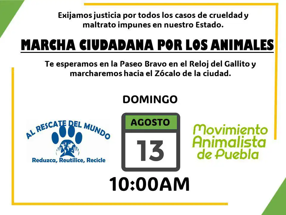 marcha-animalista-puebla-convocatoria