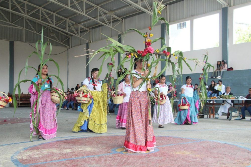 zoquitlan-cultura-sistema-milpa