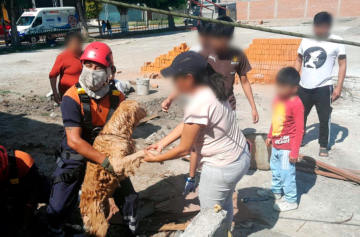 rescate-perros-bomberos-san-andres-cholula