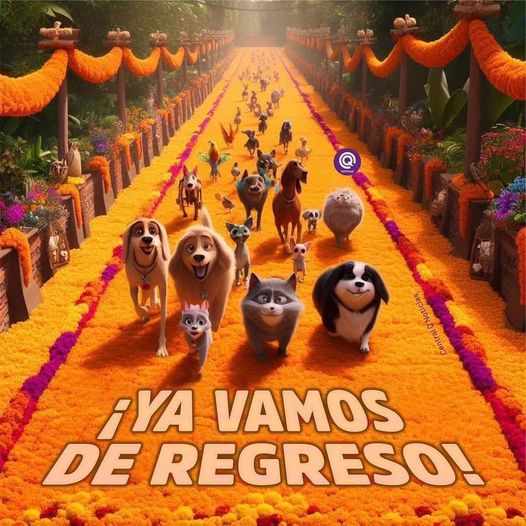 Día de Muertos Mascotas