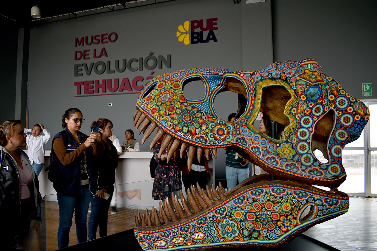 Museo de la Evolución de Tehuacán. Foto: Guadalupe Minutti / México Ruta Mágica