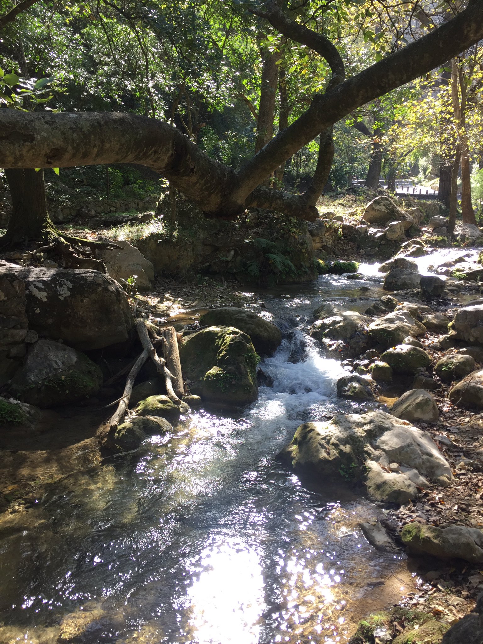 Santiago, Nuevo León