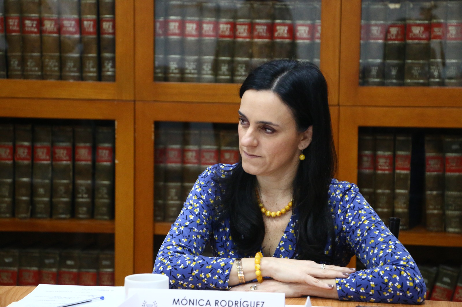 monica-rodriguez-della-vecchia