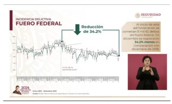 Informe -  quincena - Rosa - Icela 