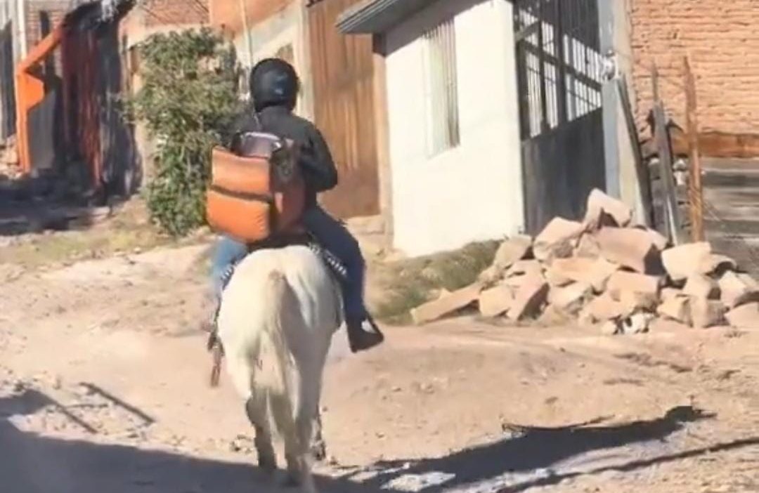 Repartidor de Didi en caballo