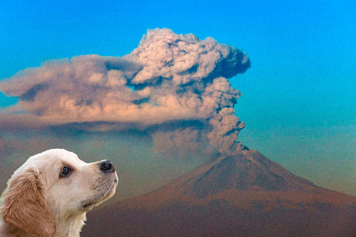 popocatepetl-mascotas