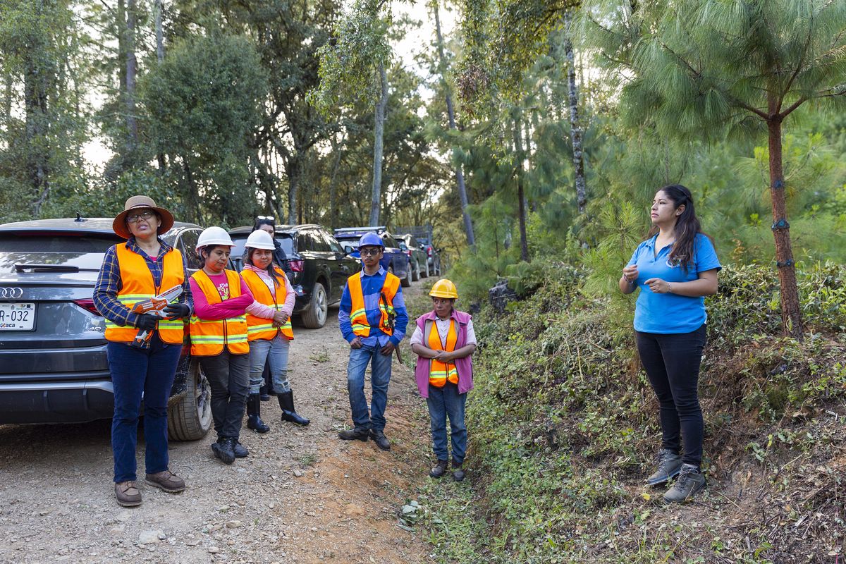 lizeet-perez-martinez-brigada-limpieza-poyecto-carbioin