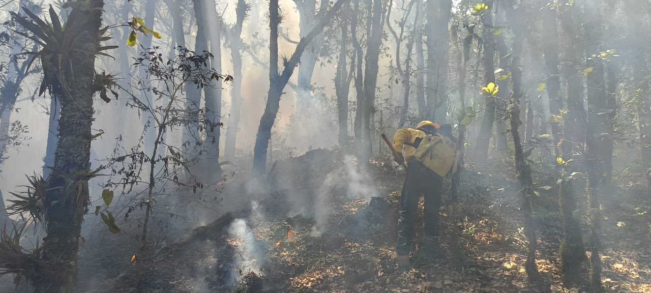 Incendio forestal en Coyomeapan y en el cerro Zapotecas ya está liquidado: Céspedes