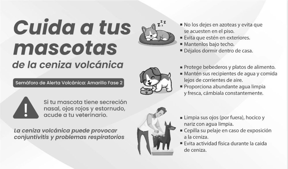 ceniza-volcanica-mascotas-atlixco