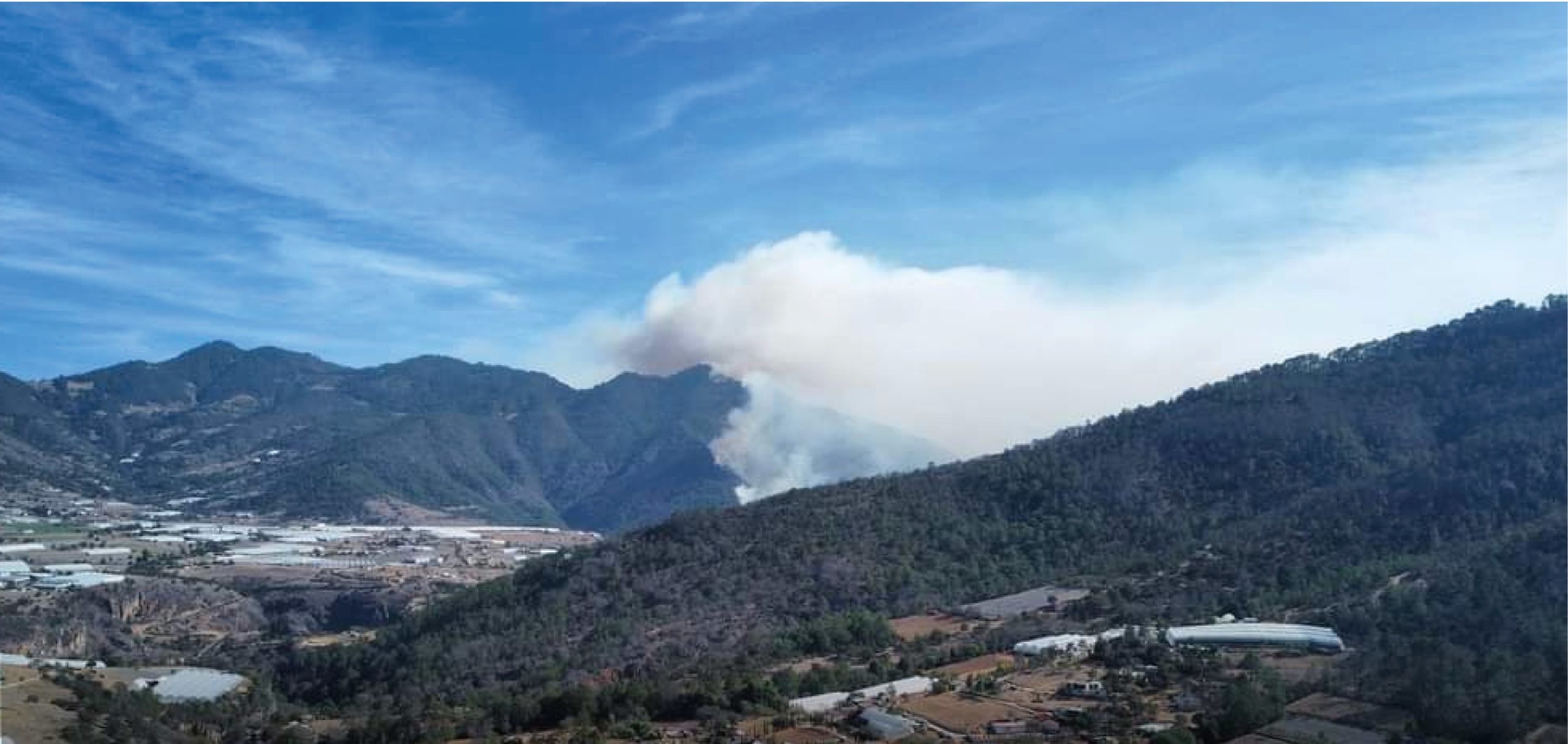 Se llevan a cabo acciones coordinadas contra incendio forestal en Tetela de Ocampo