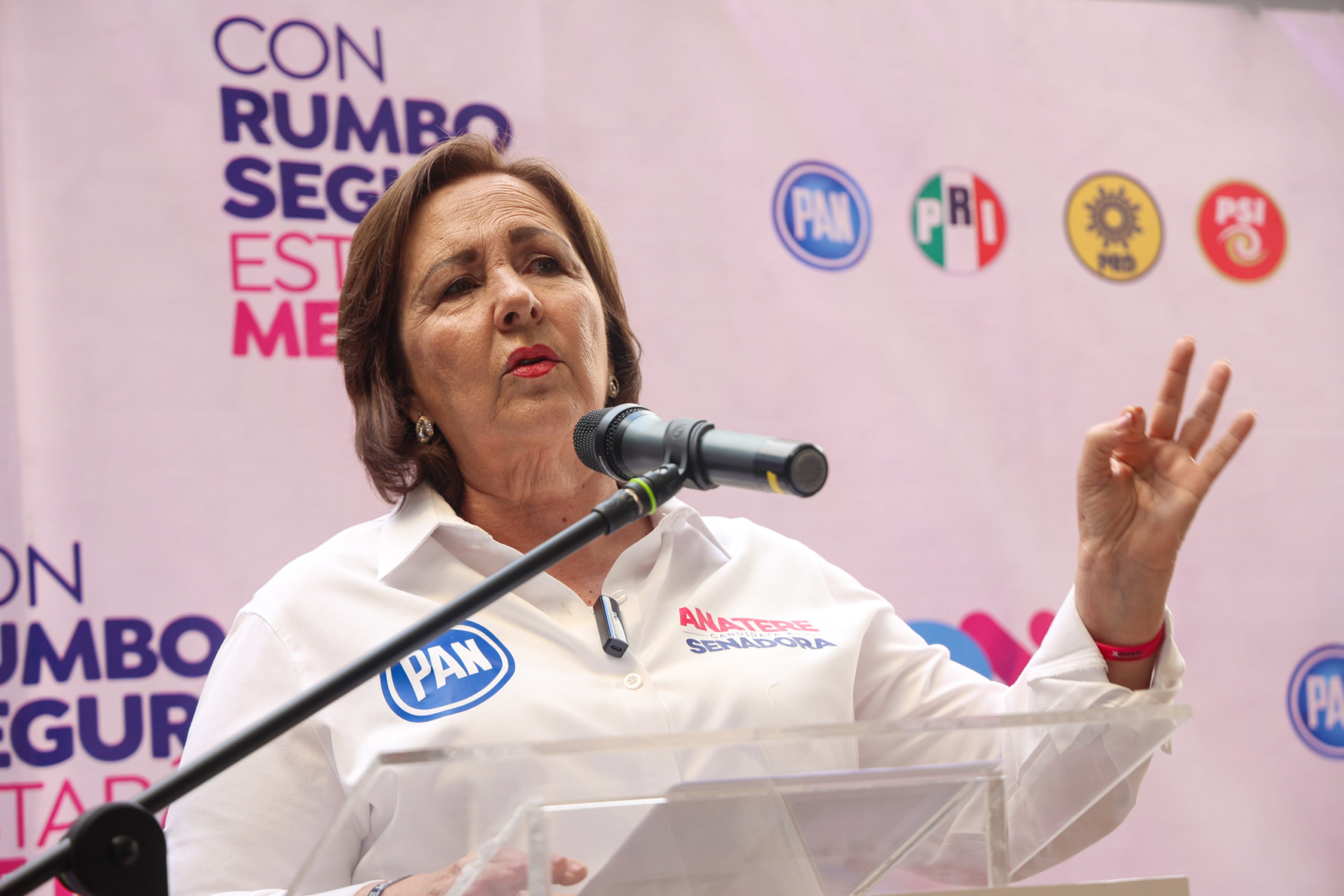 Ana Teresa Aranda denunciará a Morena por destrucción de propaganda; hay un detenido 