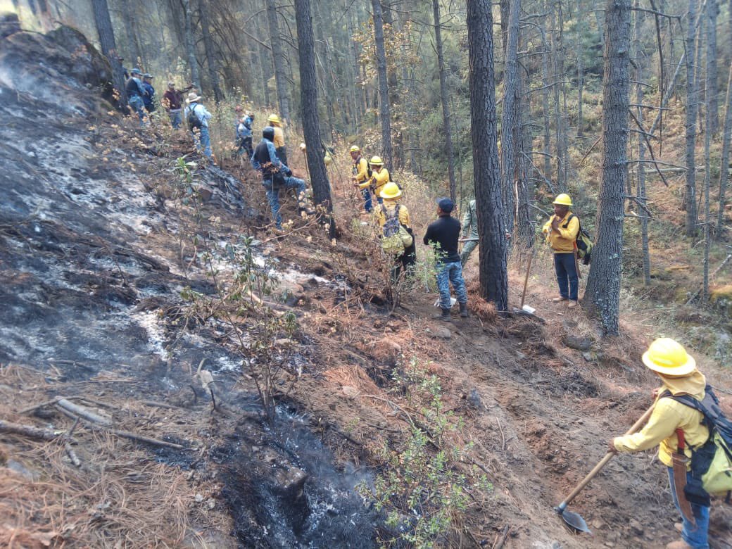 Incendio forestal