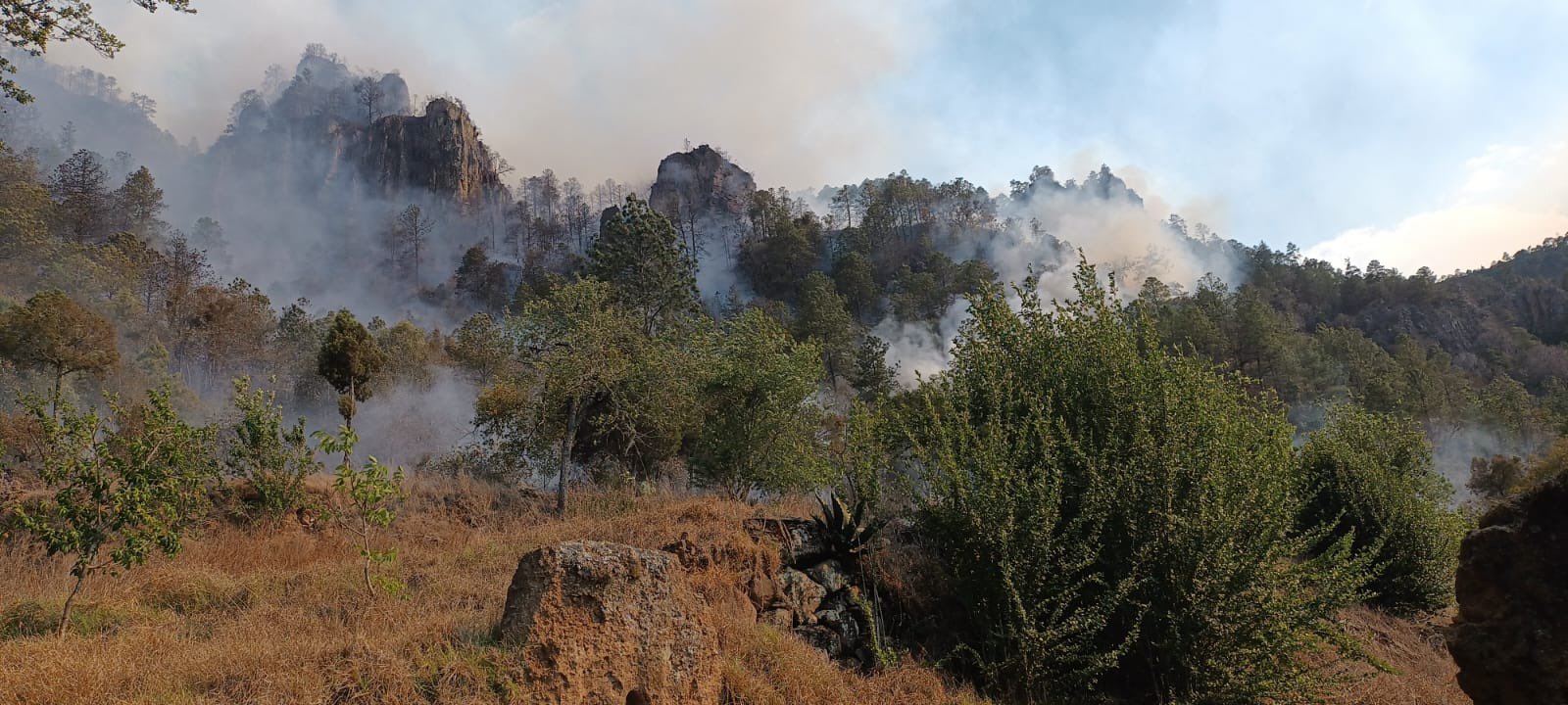 incendio forestal en Huixcolotla