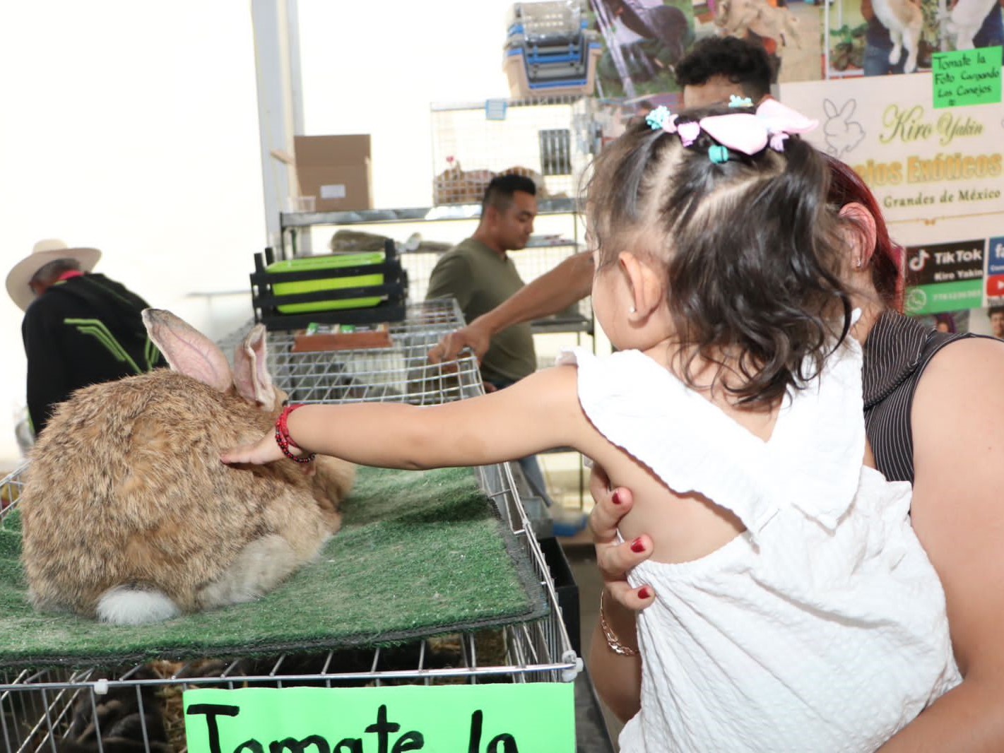 Expo Ganadera