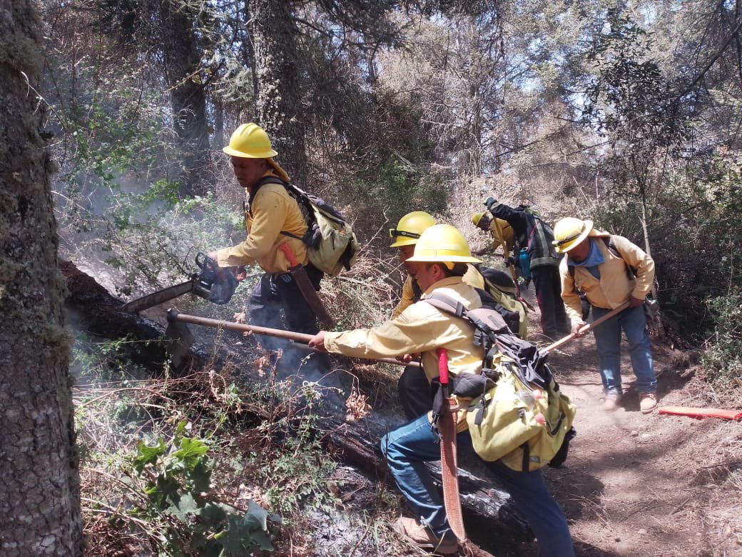 Incendio forestal en Libres y Coyomeapan está controlado, confirma Céspedes Peregrina