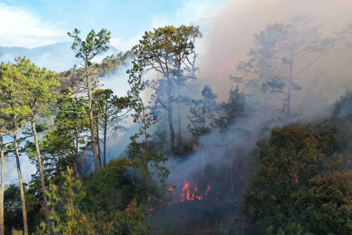 incendio-forestal-zacatlán