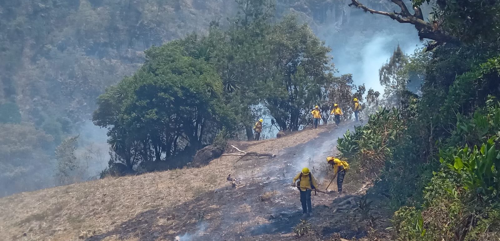17 incendios forestales en la entidad