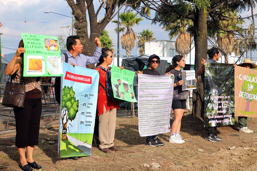 amalucan-protesta-por-derribo-de-arboles