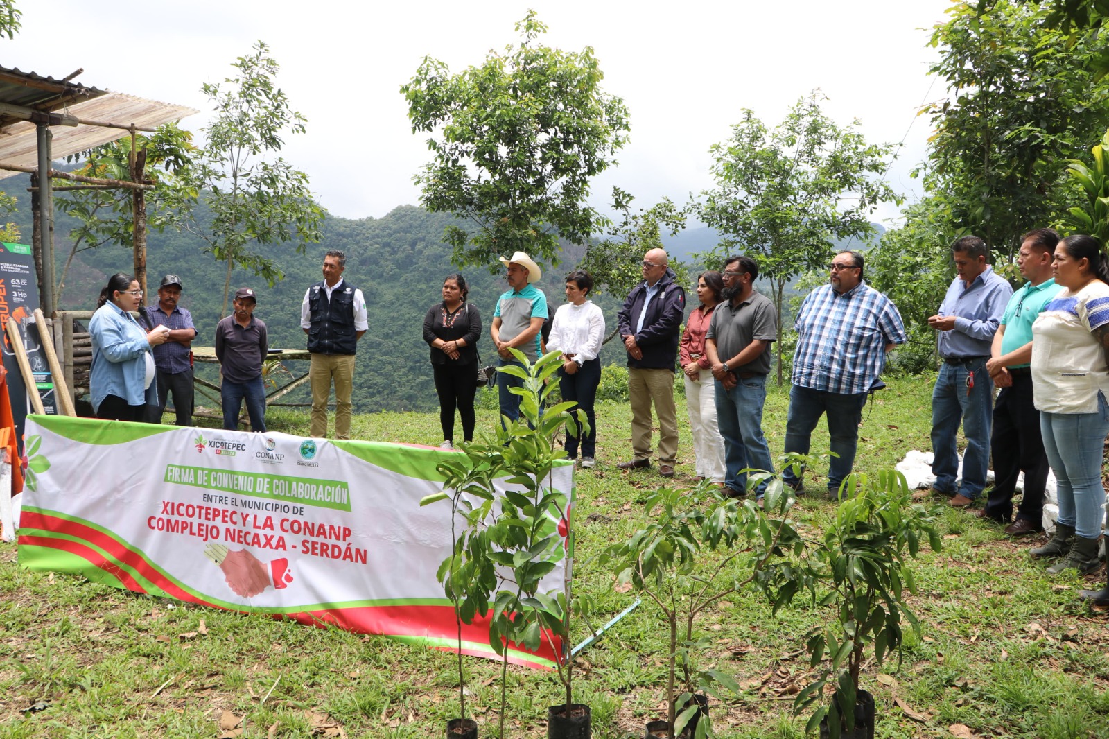 Reforestación en 8 ecorregiones de Puebla