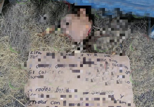 Encuentran bolsas con restos humanos y mensaje de advertencia en Chiautla de Tapia