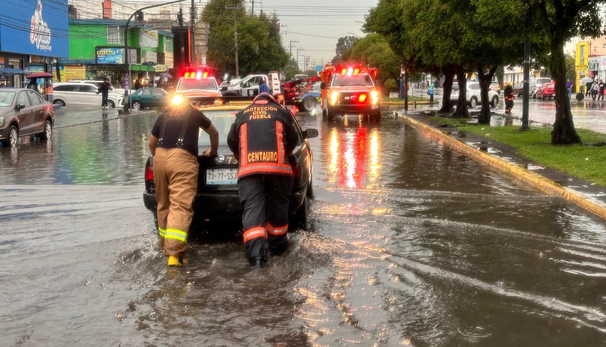 Fuerte lluvia en la ciudad deja como saldo 13 autos varados y 6 árboles caídos: Protección Civil Municipal