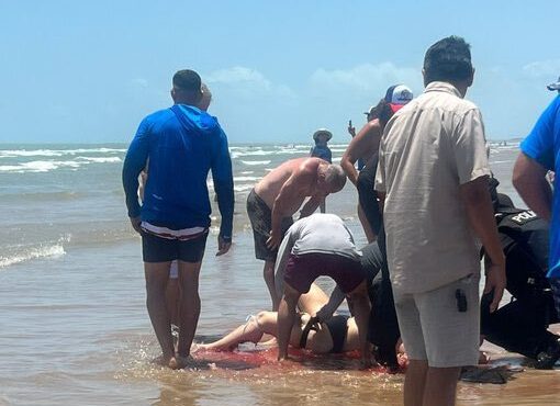 Tiburón ataca a bañistas en South Padre Island el 4 de julio