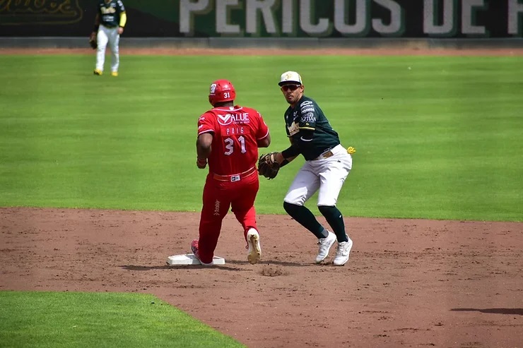 pericos-de-puebla-aguila-de-veracruz