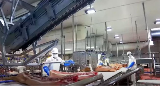 Granjas Carroll contribuye a la seguridad alimentaria nacional al satisfacer la demanda de carne de cerdo