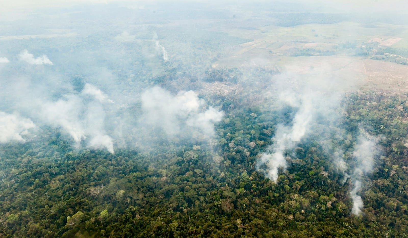 Perú decreta estado de emergencia por incendios forestales en la Amazonía