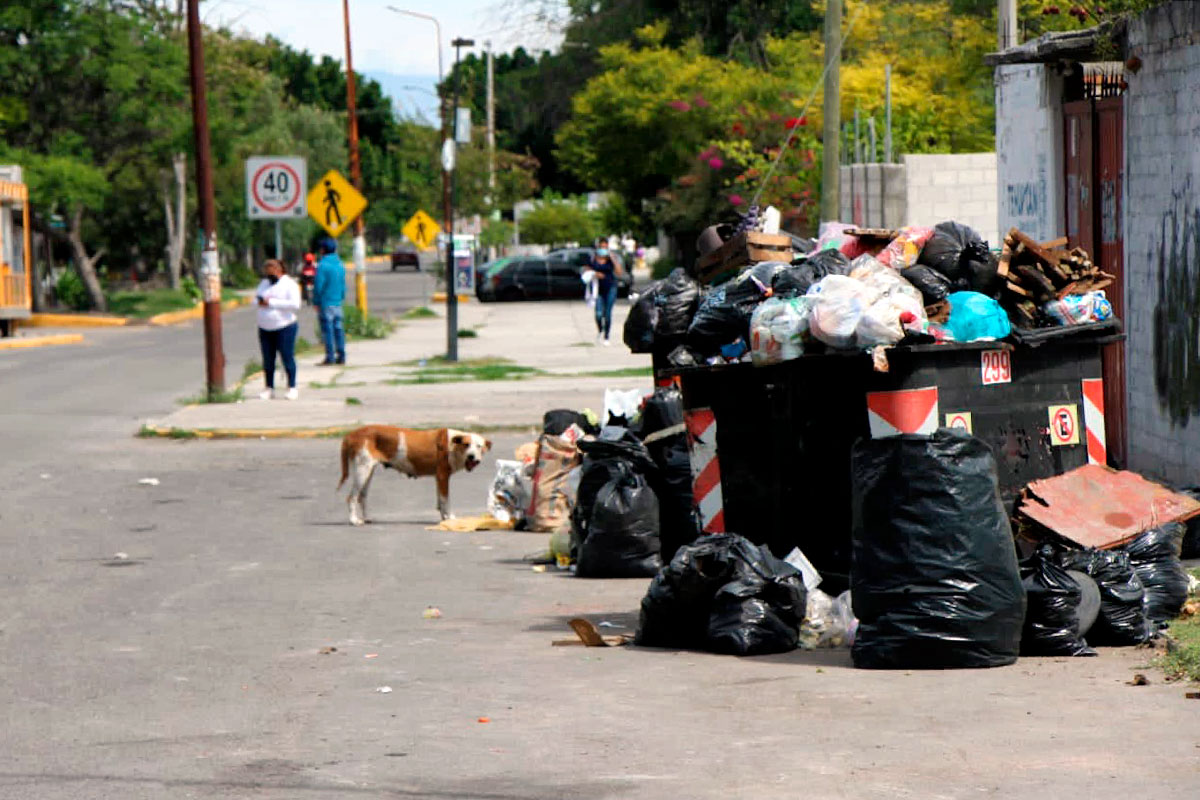 basura-montonera-de-tehuacan