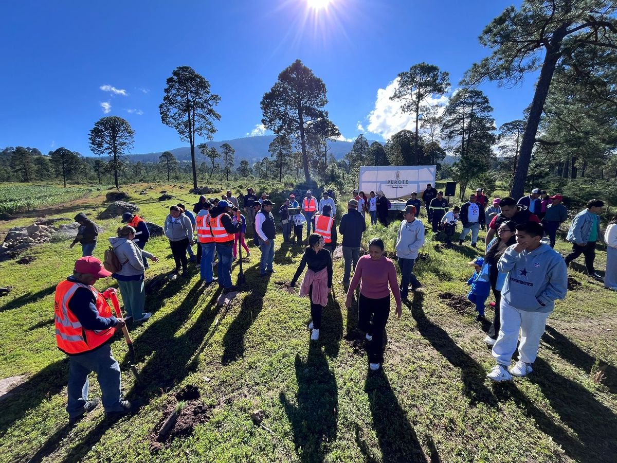 granjas-carroll-jornada-reforestacion-tenextepec