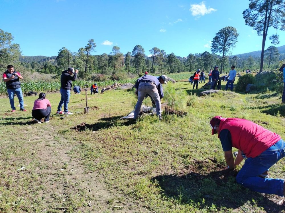 granjas-carroll-jornada-reforestacion-tenextepec