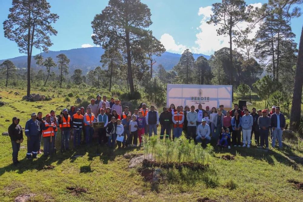 granjas-carroll-jornada-reforestacion-tenextepec