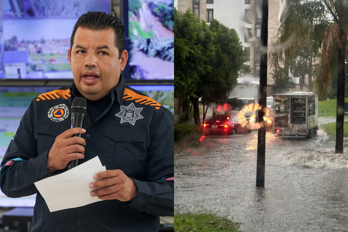 14 árboles caídos en la ciudad tras fuertes vientos y lluvias del fin de semana, informó Protección Civil