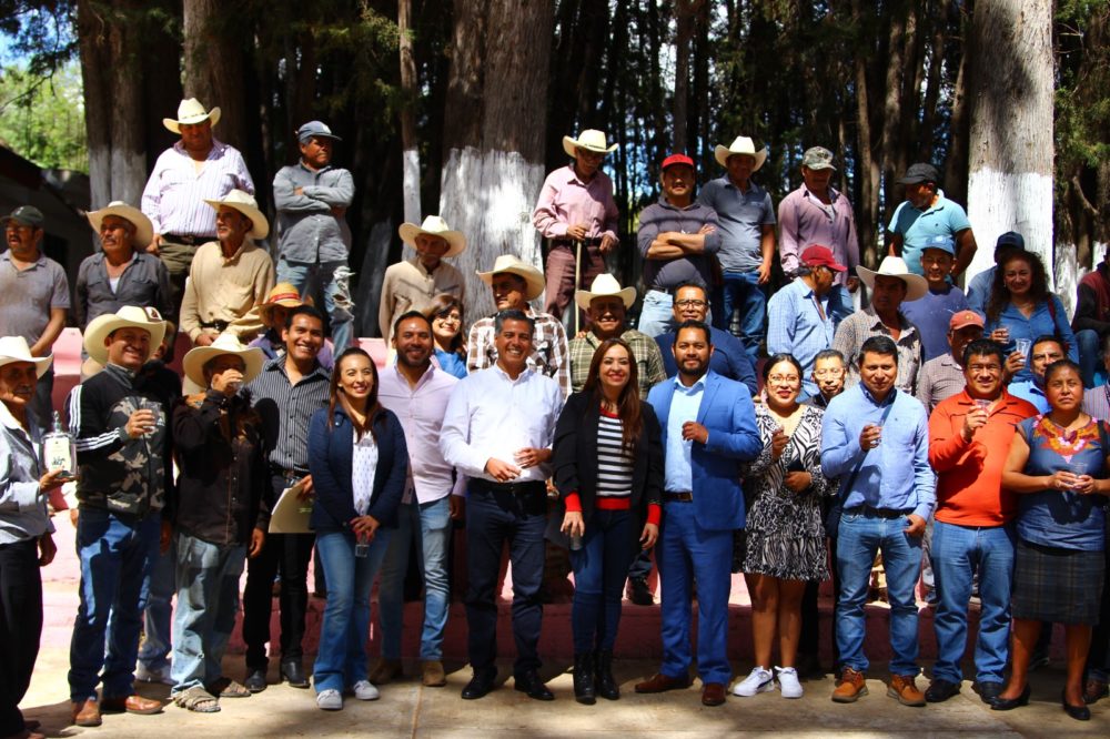 Grupo