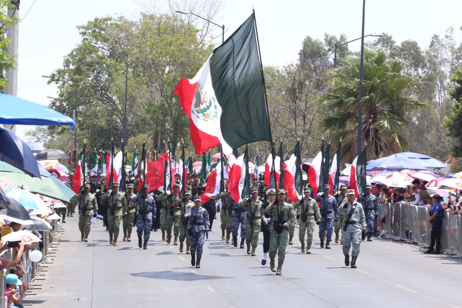 cinco de mayo