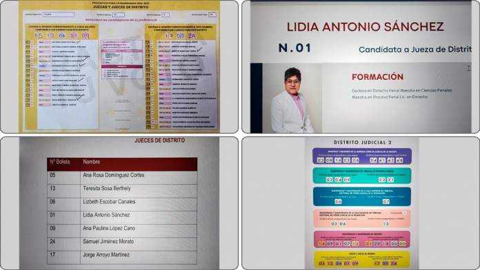 lidia-antonio-sanchez-jueza-eleccion-judicial