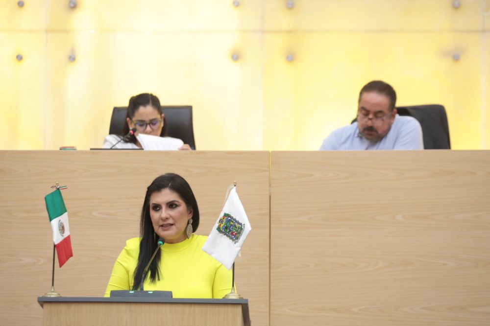 delfina-pozos-vergara