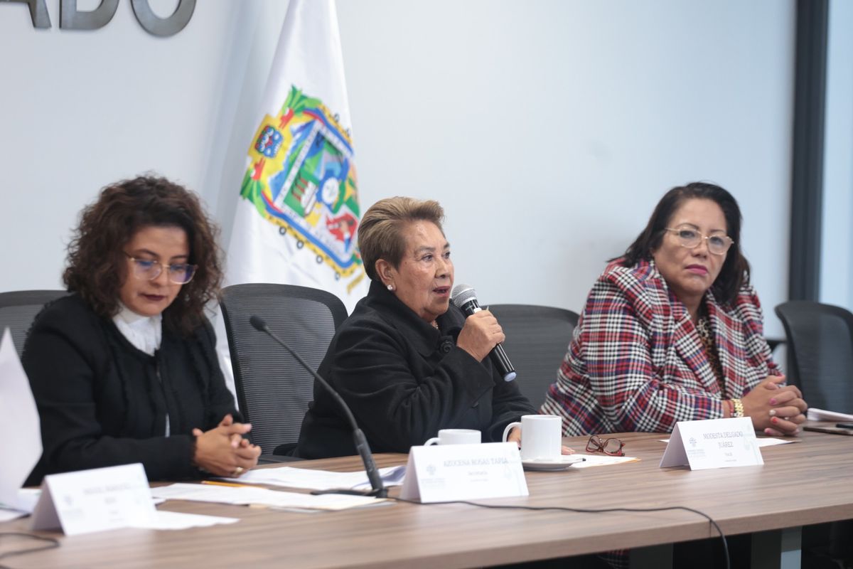 Modesta Delgado Juárez, diputada local de Puebla por el partido Fuerza por México. Foto: Especial