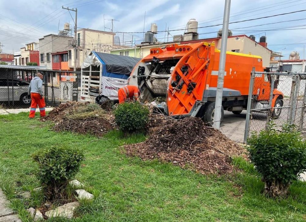ayto-pue-servicio-de-limpia-naranjitas