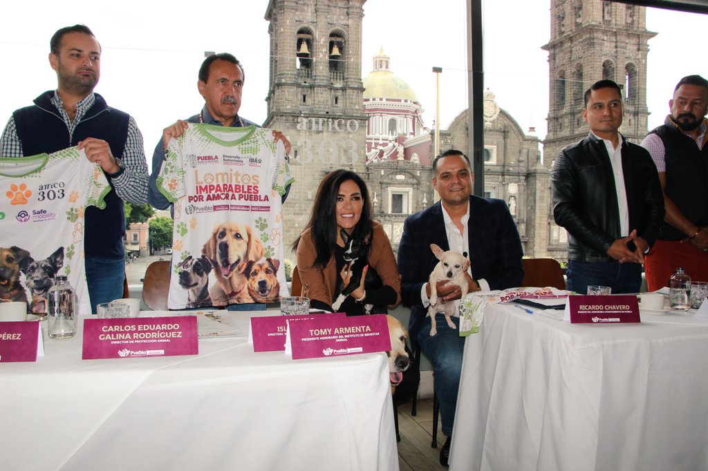 ¡Corre con tu mejor amigo! La carrera “Lomitos Imparables” llega a Puebla este 20 de julio