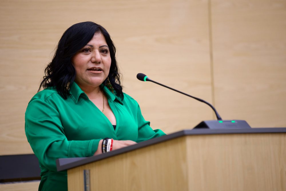 araceli-celestino-rosas