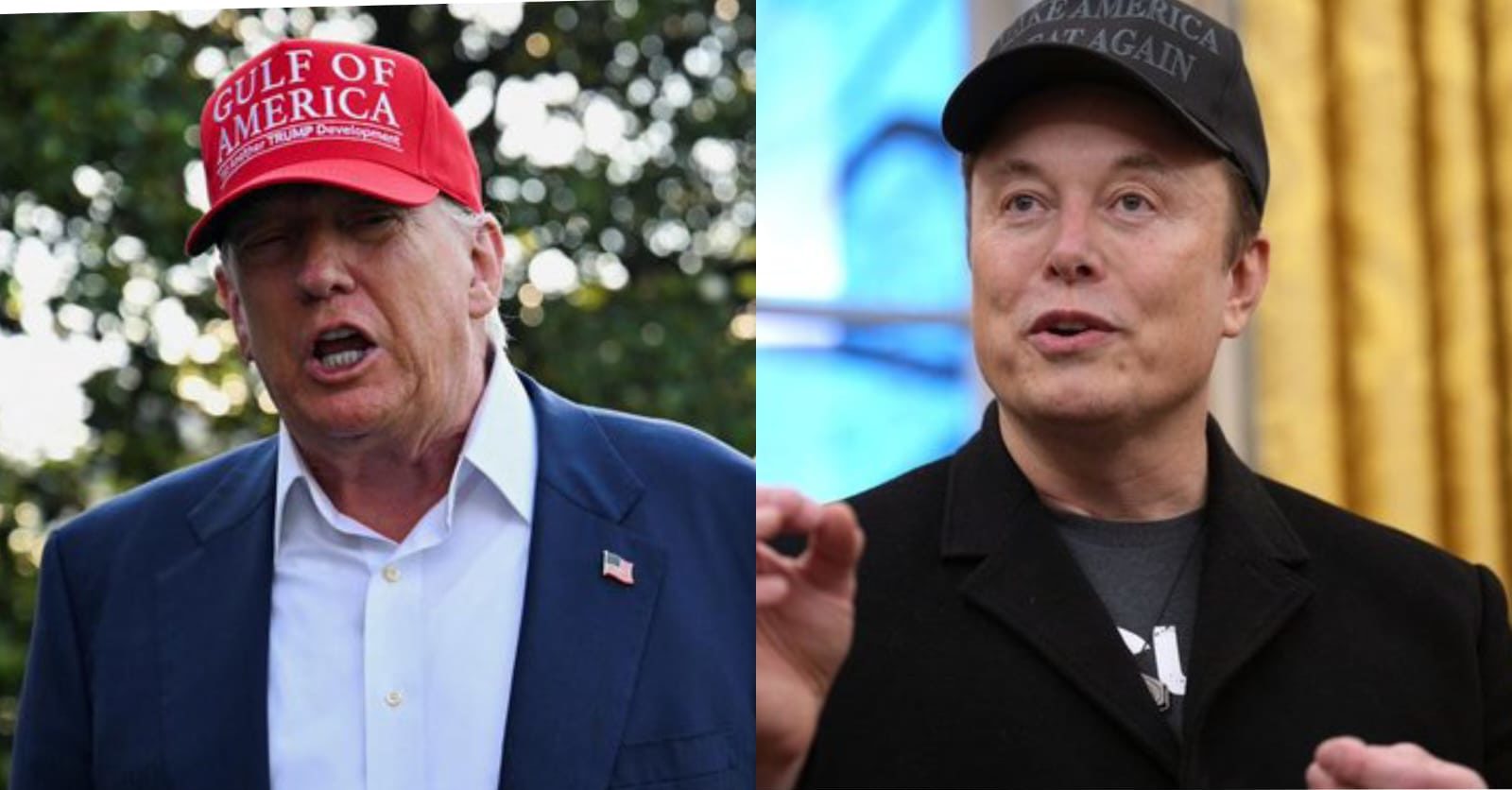 Trump y Musk