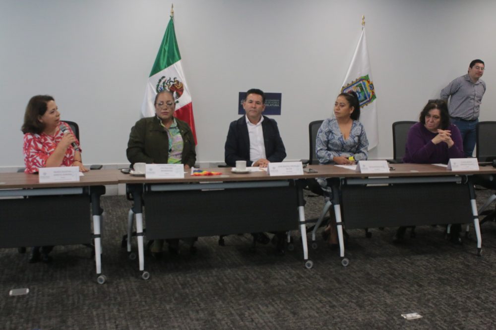 congreso-pue-comision-organizaciones-no-gubernamentales