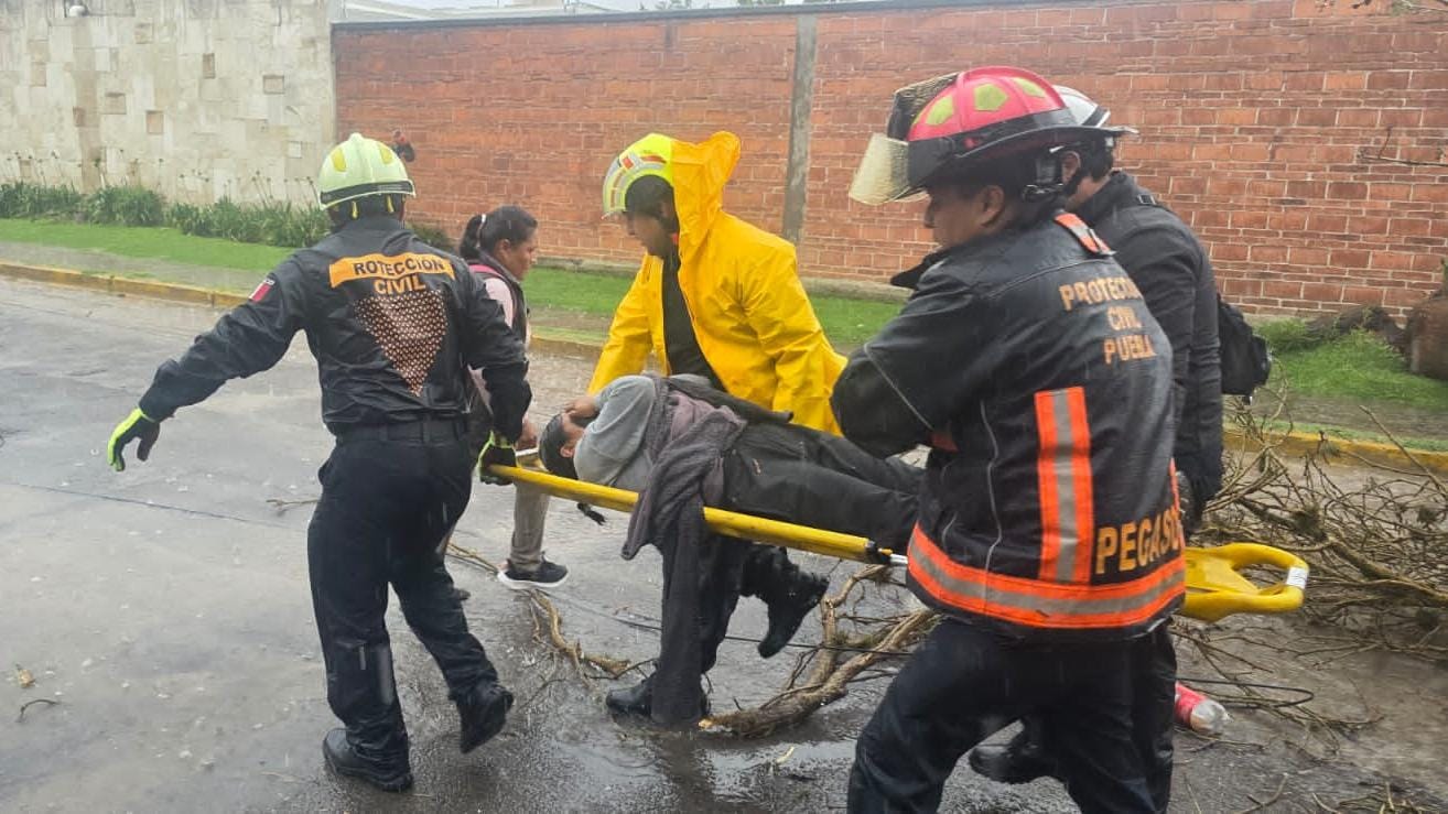 Atiende Protección Civil Municipal a mujer lesionada por caída de árbol