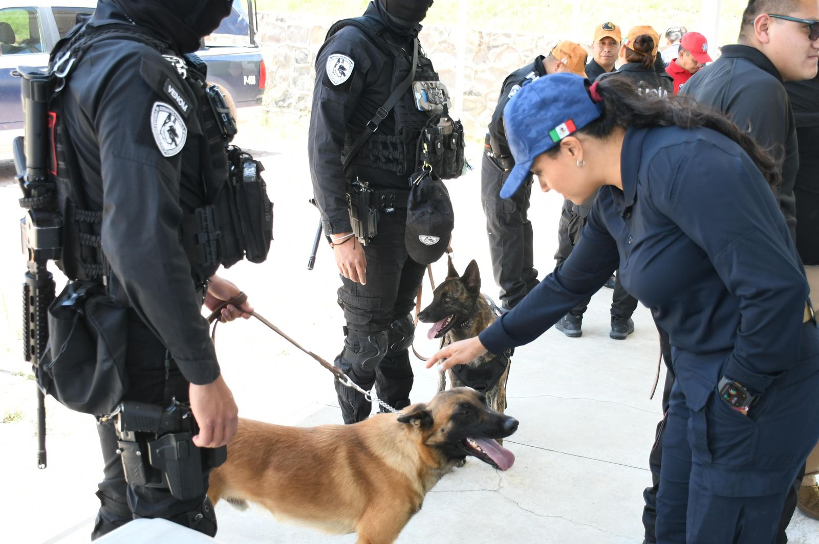 Instructores caninos