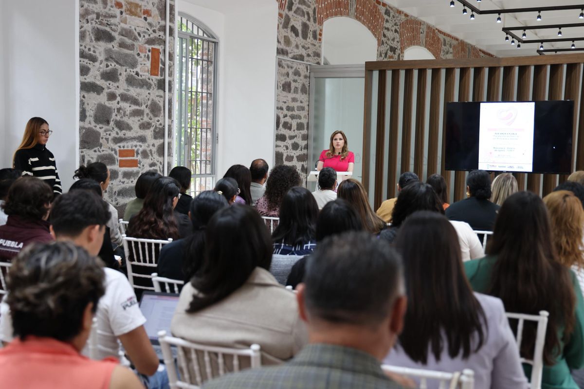 sedif-pue-cecilia-arellano-valores