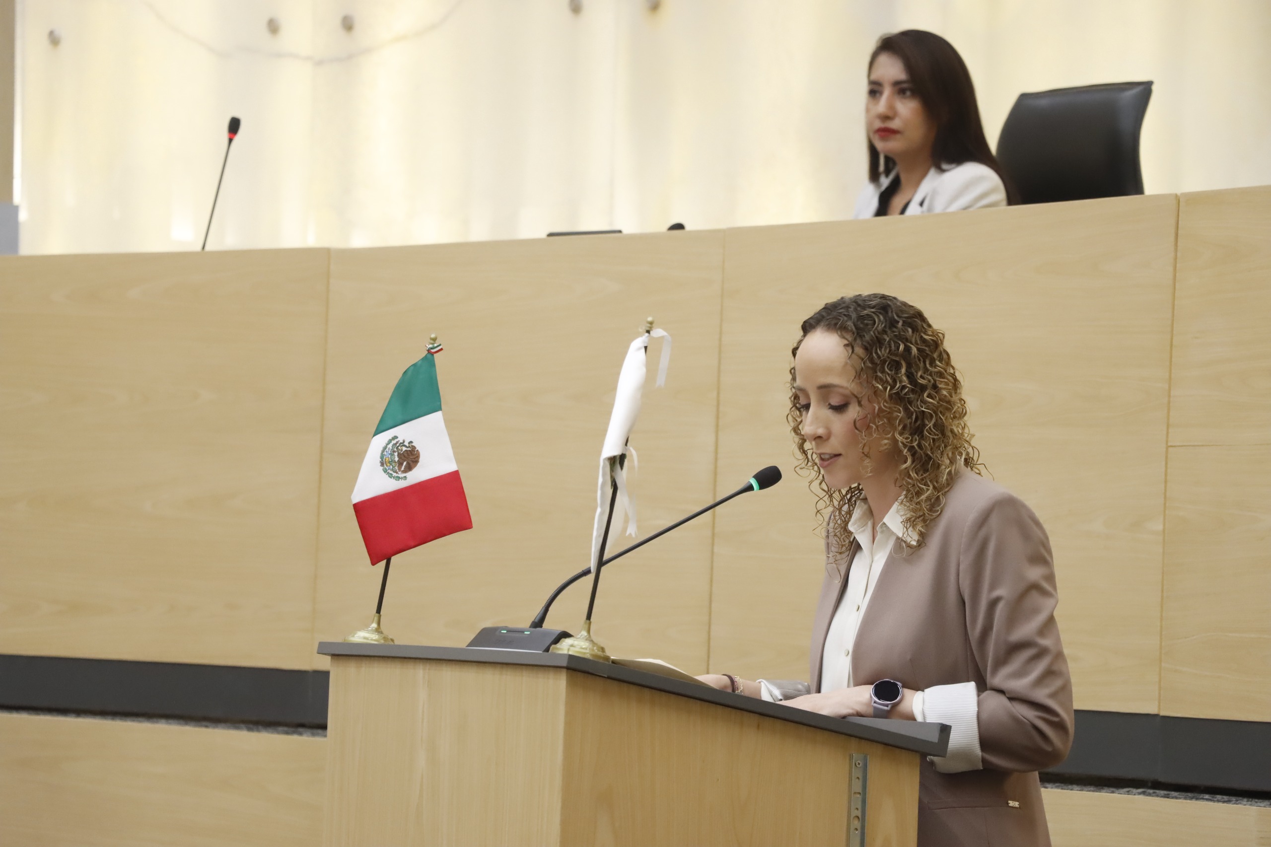 Susana Riestra Piña, Celia Bonaga Ruiz, diputada local de Puebla por el PAN. Foto: Especial