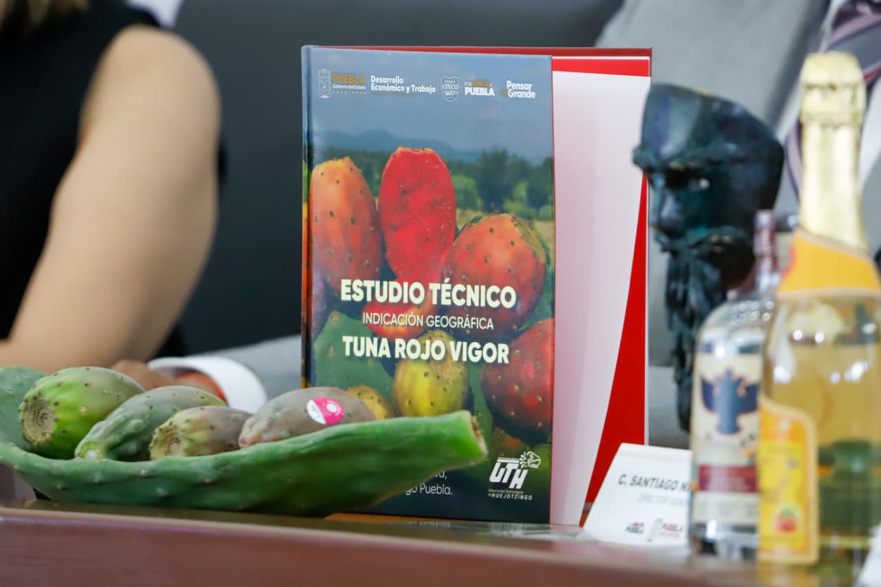 Tuna de Acatzingo
